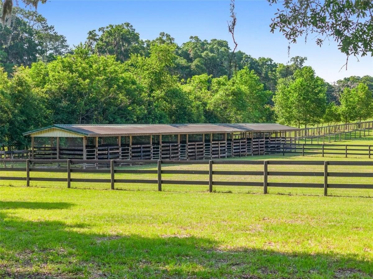 Picture of Residential Land For Sale in Citra, Florida, United States