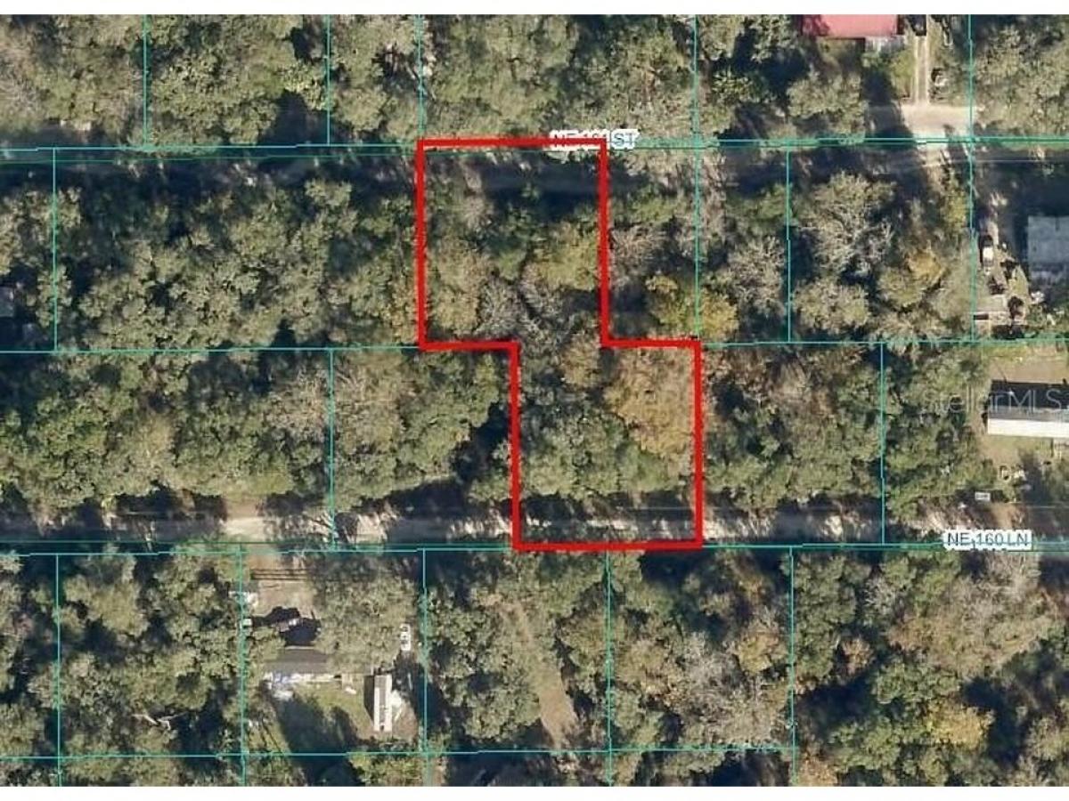 Picture of Residential Land For Sale in Citra, Florida, United States