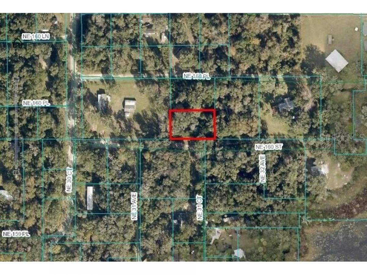 Picture of Residential Land For Rent in Citra, Florida, United States