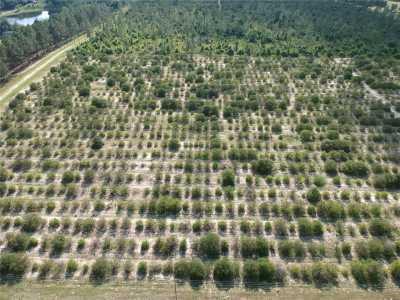 Residential Land For Sale in Weirsdale, Florida