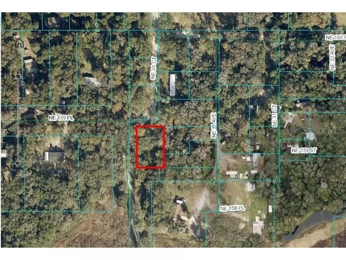 Picture of Residential Land For Rent in Citra, Florida, United States