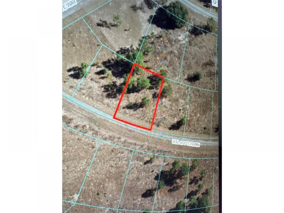 Picture of Residential Land For Sale in Ocklawaha, Florida, United States