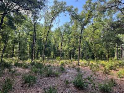 Residential Land For Sale in Dunnellon, Florida