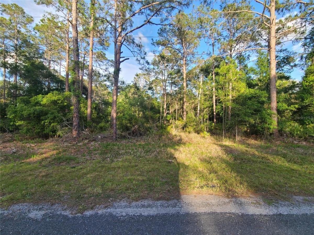 Picture of Residential Land For Sale in Crystal River, Florida, United States