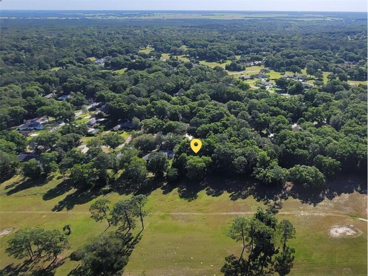 Picture of Residential Land For Sale in Dunnellon, Florida, United States