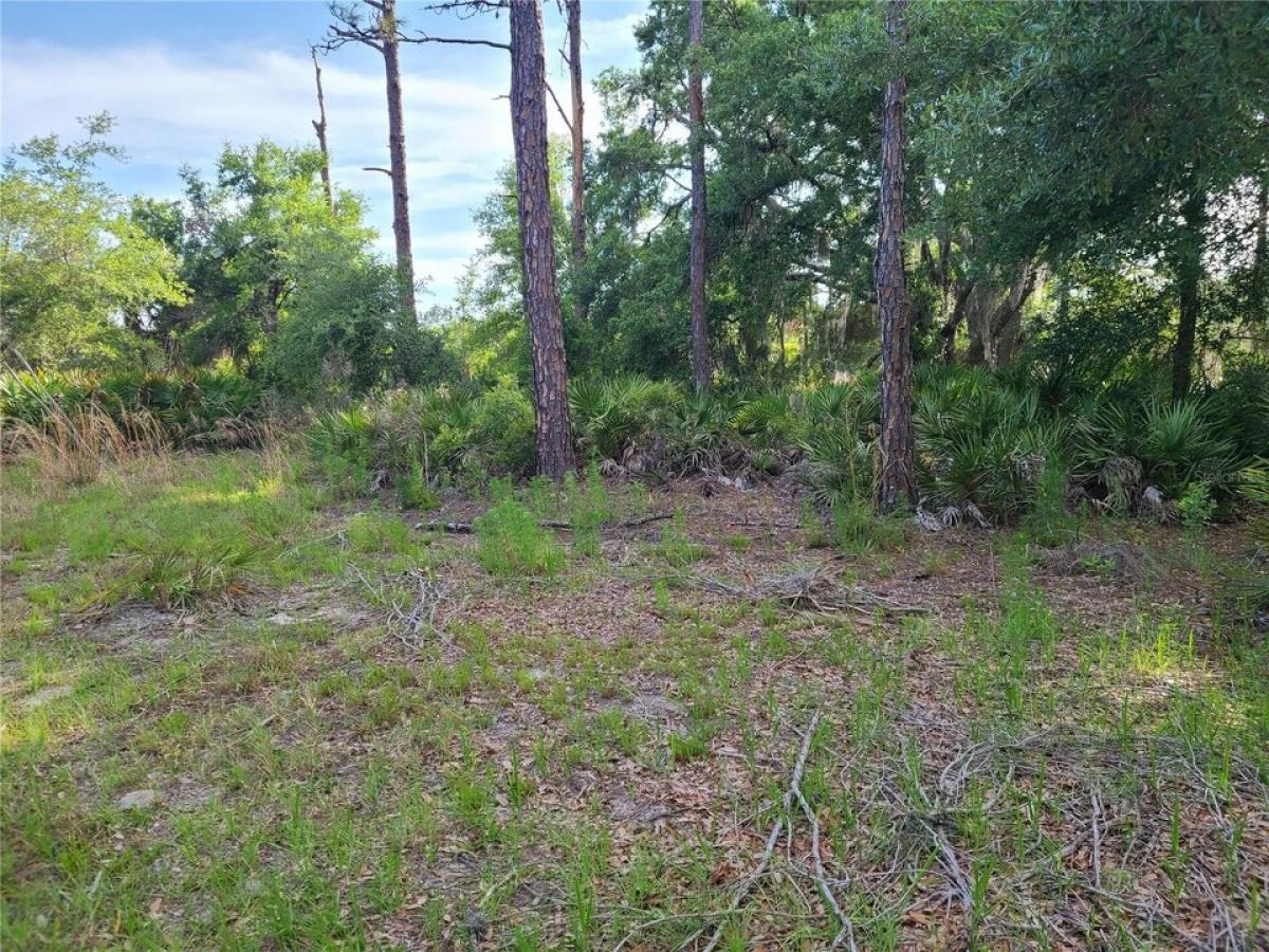 Picture of Residential Land For Sale in Crystal River, Florida, United States