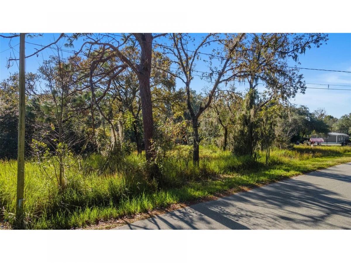 Picture of Residential Land For Sale in Hernando, Florida, United States