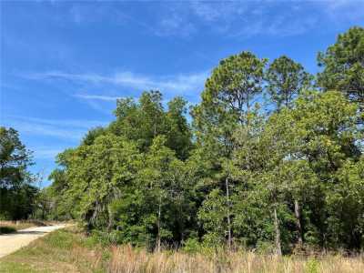 Residential Land For Sale in Ocala, Florida