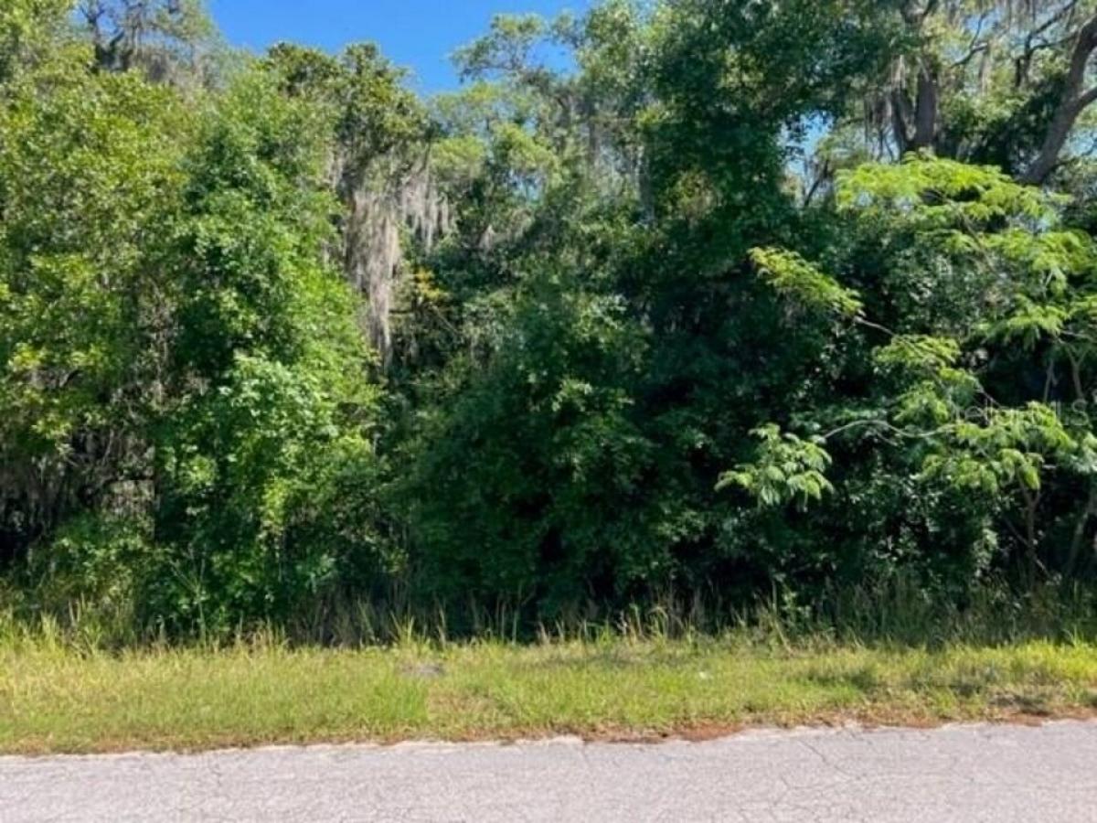 Picture of Residential Land For Sale in Ocala, Florida, United States