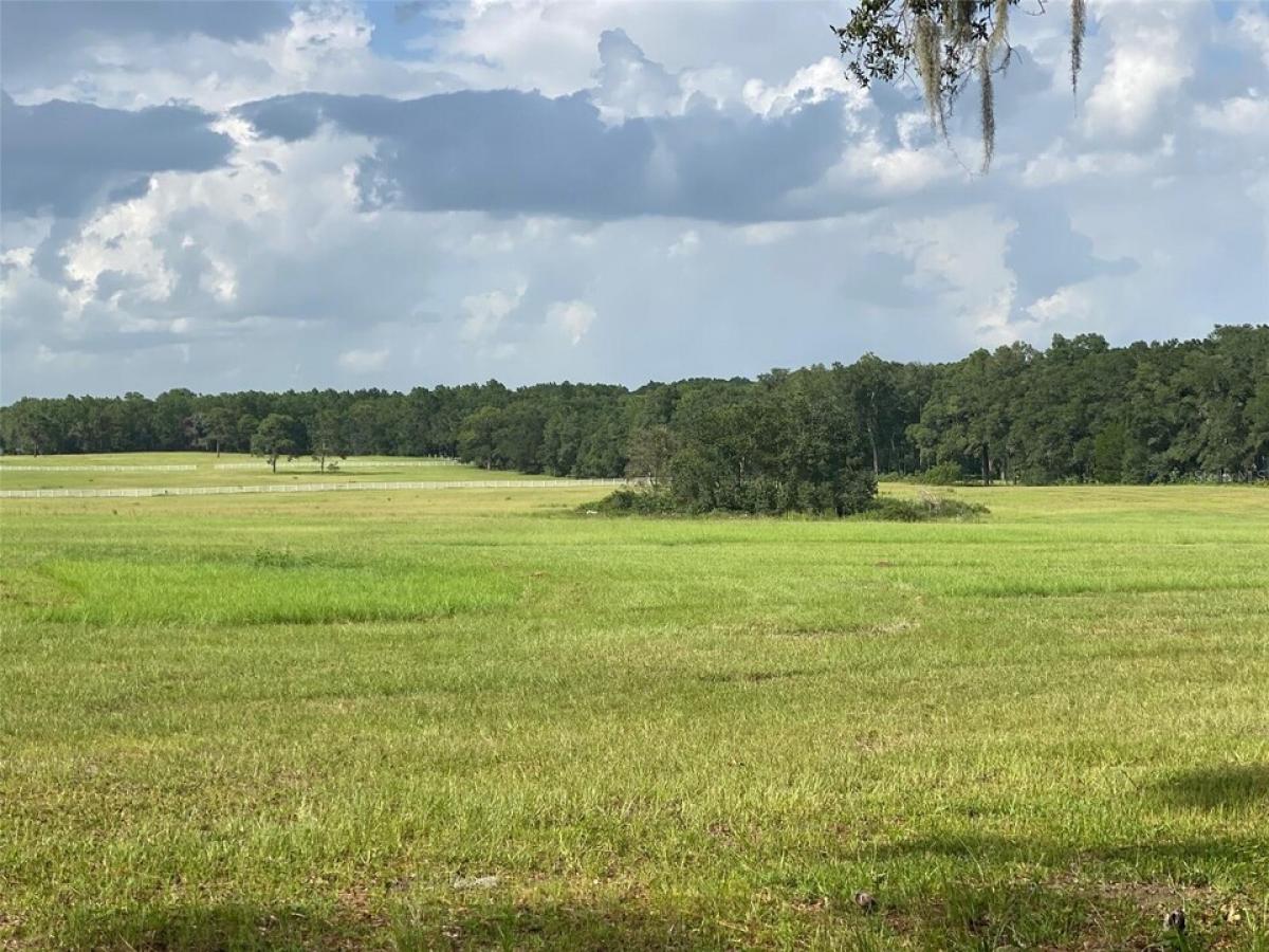 Picture of Residential Land For Sale in Ocala, Florida, United States