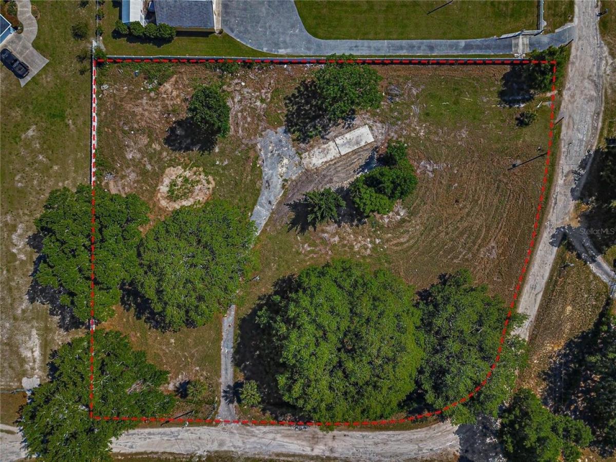 Picture of Residential Land For Sale in Belleview, Florida, United States