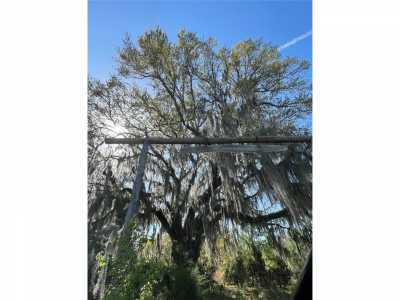 Residential Land For Sale in Waldo, Florida