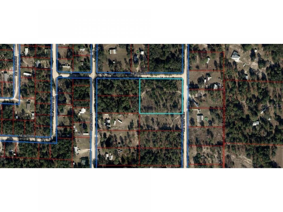 Picture of Residential Land For Sale in Williston, Florida, United States