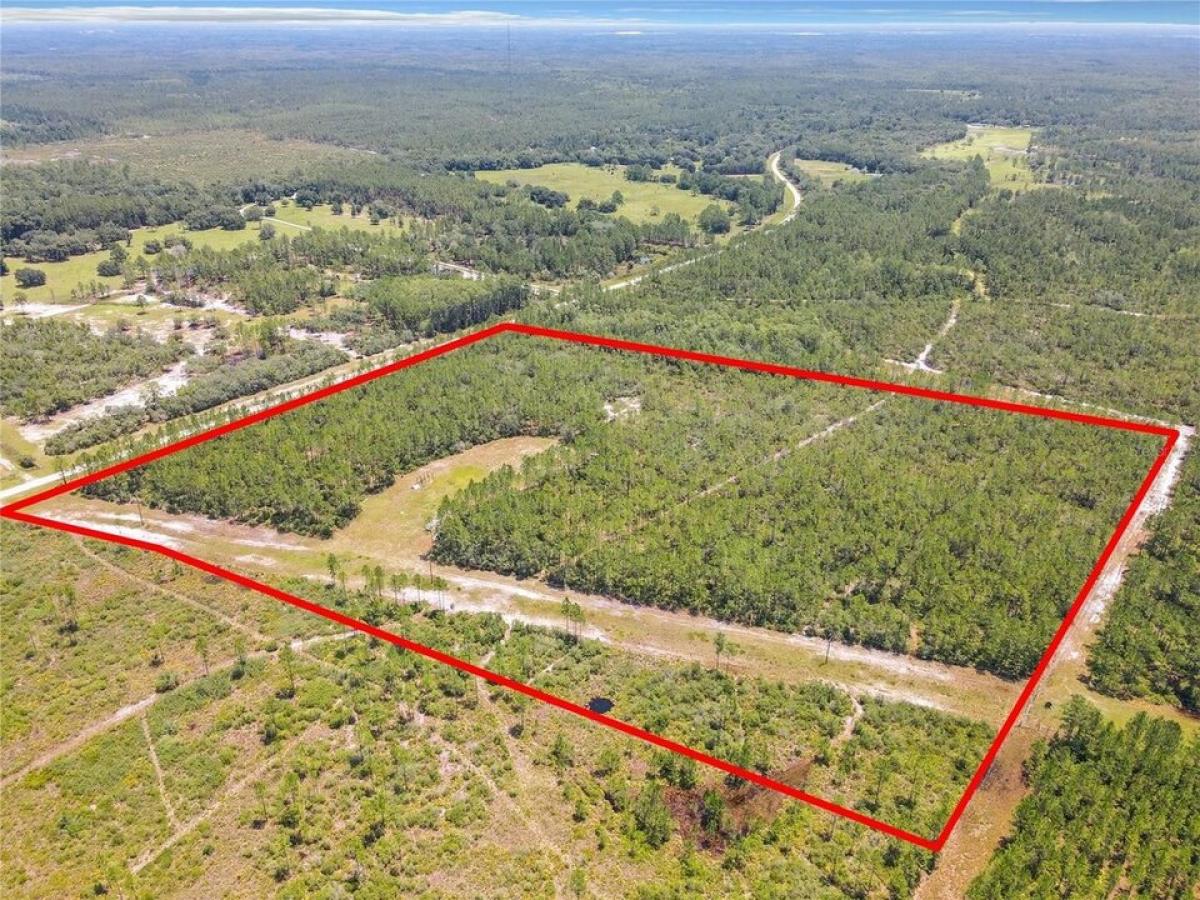 Picture of Residential Land For Sale in Morriston, Florida, United States