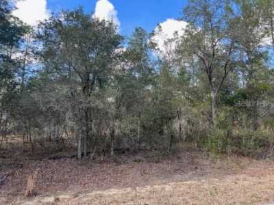 Residential Land For Sale in Summerfield, Florida