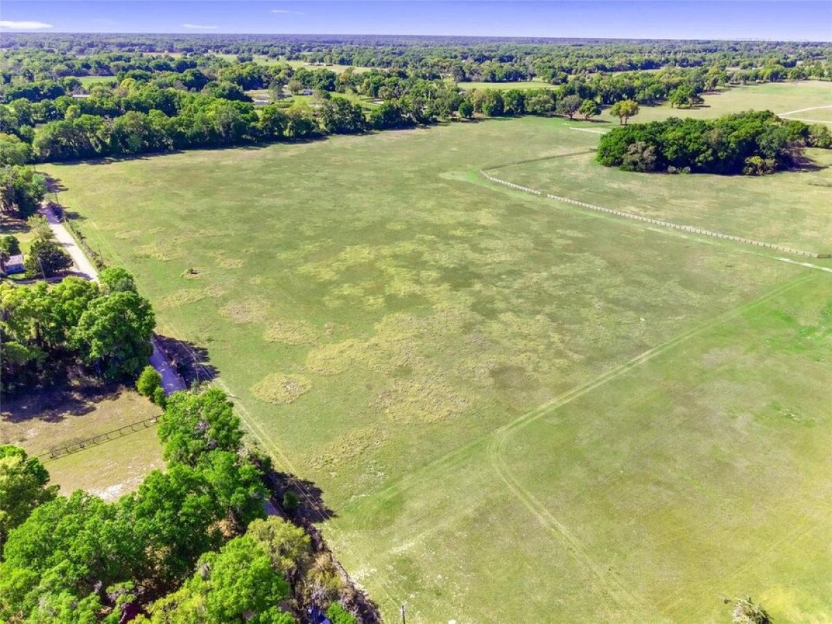 Picture of Residential Land For Sale in Citra, Florida, United States