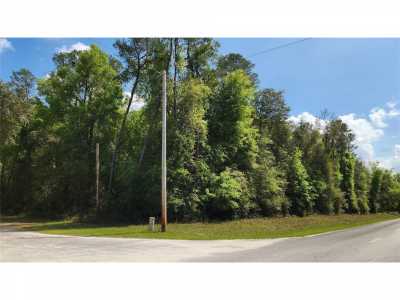 Residential Land For Sale in Fort Mc Coy, Florida