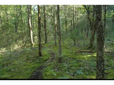 Residential Land For Sale in 