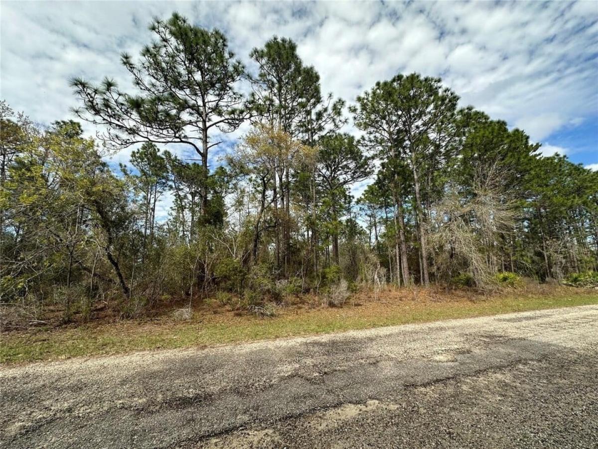 Picture of Residential Land For Sale in Citrus Springs, Florida, United States