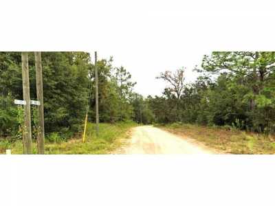 Residential Land For Sale in Williston, Florida