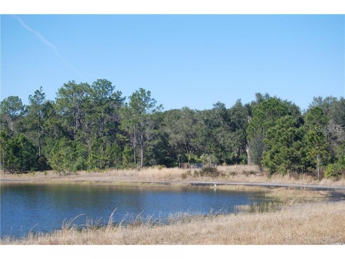 Picture of Residential Land For Sale in Ocklawaha, Florida, United States