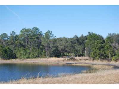 Residential Land For Sale in Ocklawaha, Florida