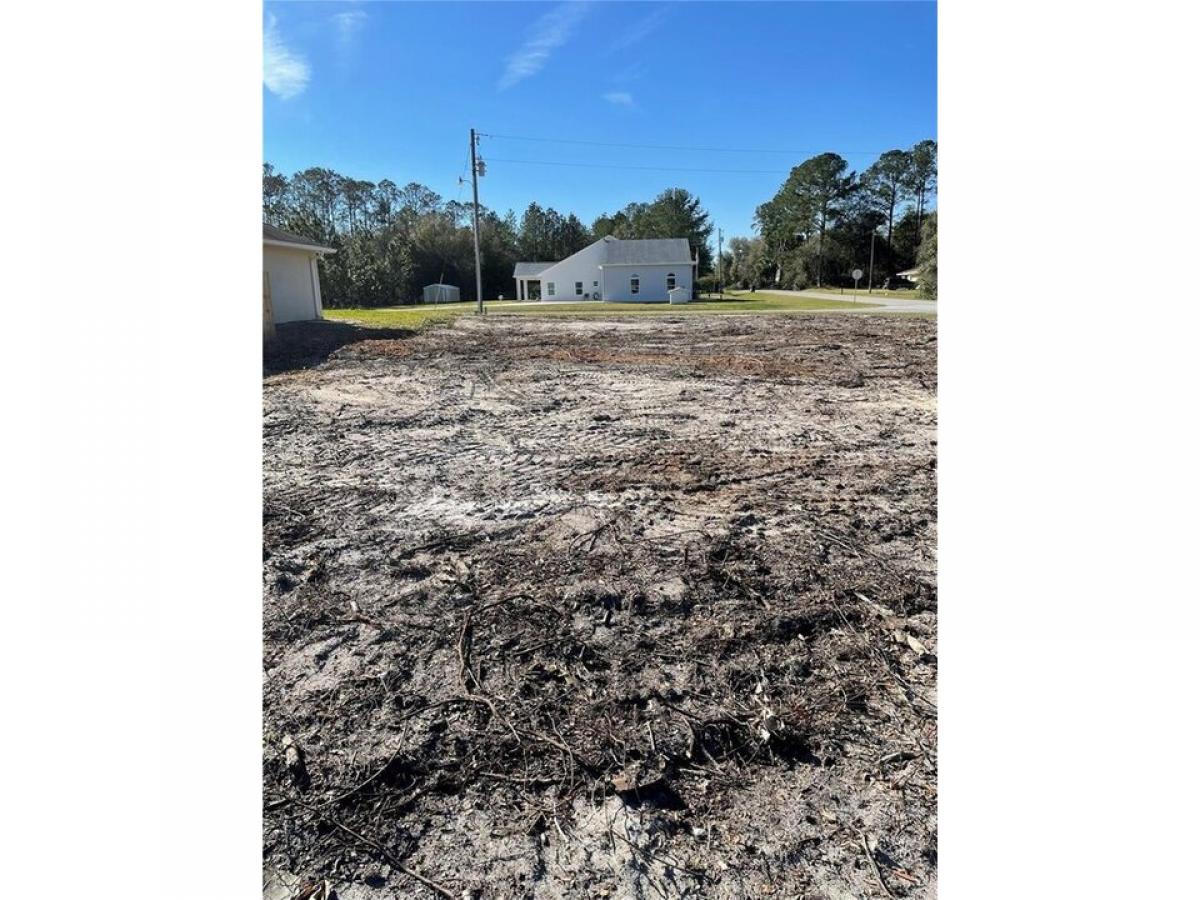 Picture of Residential Land For Sale in Belleview, Florida, United States