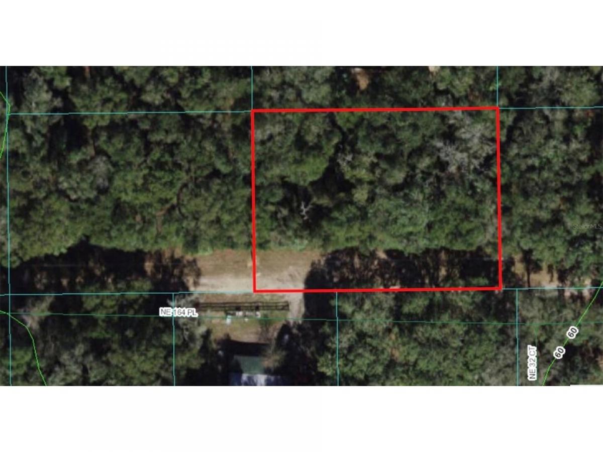 Picture of Residential Land For Sale in Citra, Florida, United States