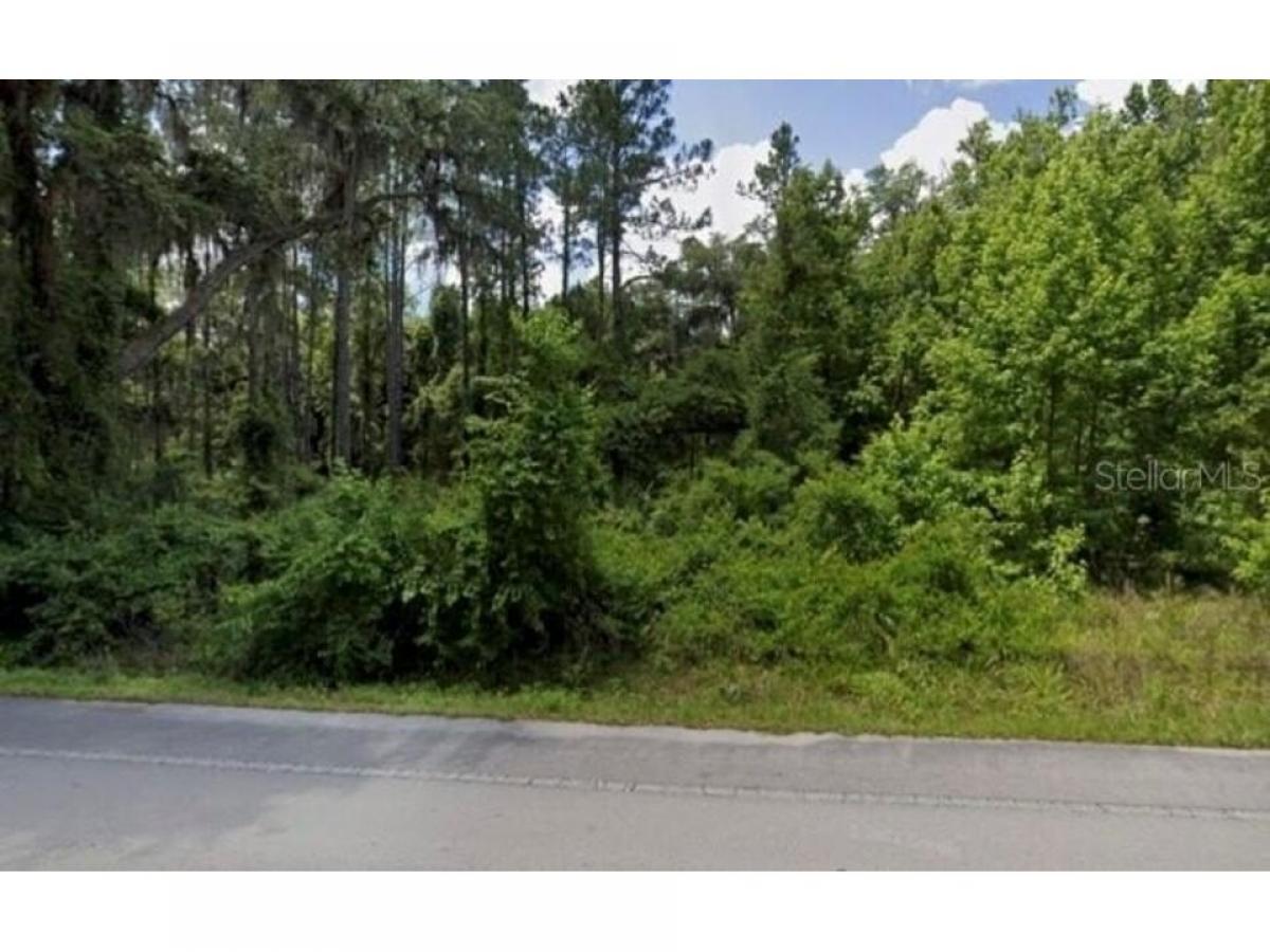 Picture of Residential Land For Rent in Citra, Florida, United States