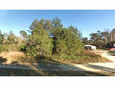 Residential Land For Sale in Fort Mc Coy, Florida