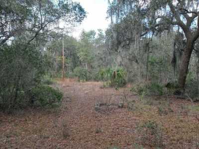 Residential Land For Sale in Fort Mc Coy, Florida