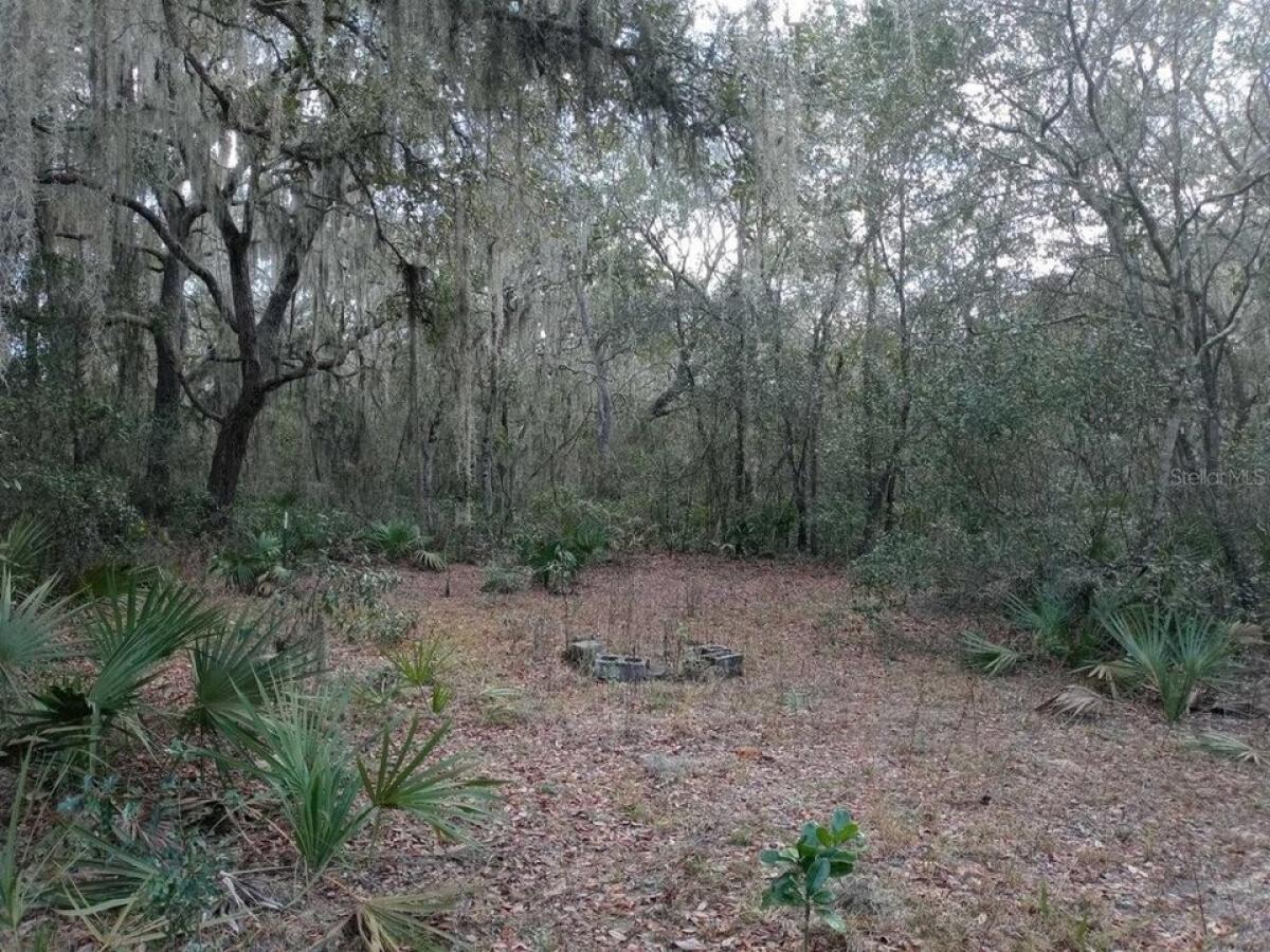 Picture of Residential Land For Sale in Fort Mc Coy, Florida, United States