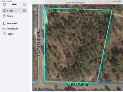 Residential Land For Sale in Morriston, Florida