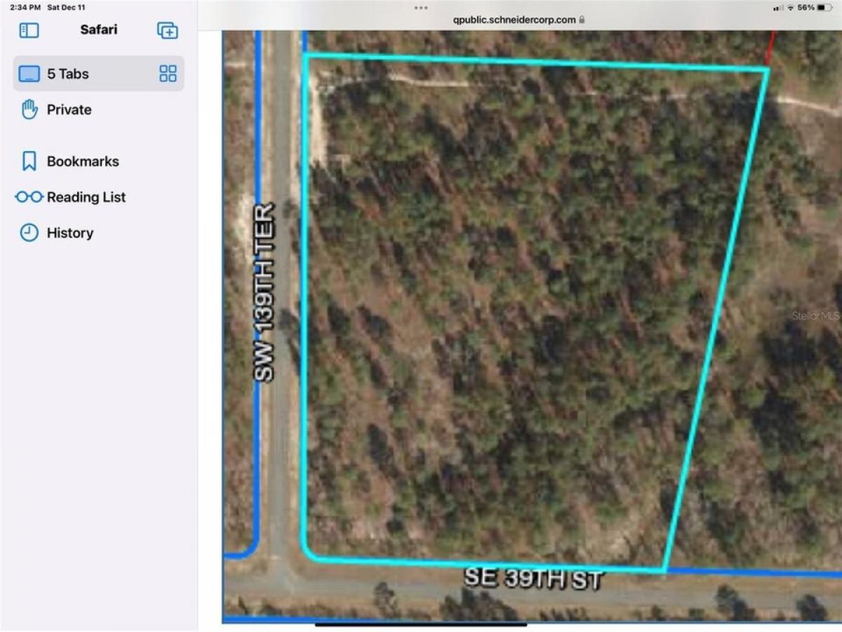 Picture of Residential Land For Sale in Morriston, Florida, United States