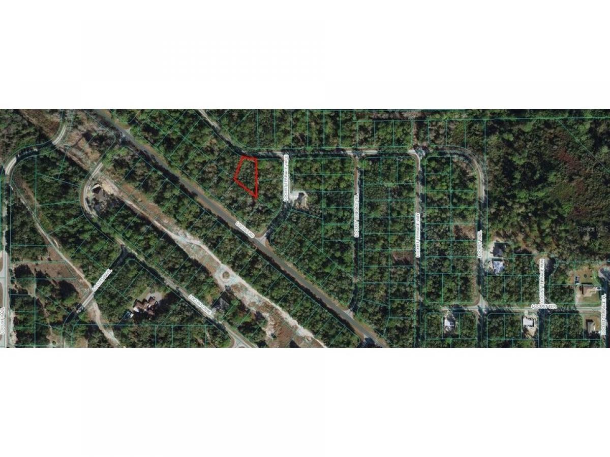 Picture of Residential Land For Sale in Ocala, Florida, United States