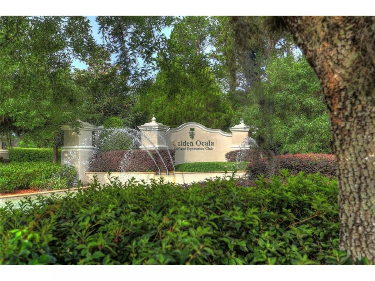 Picture of Residential Land For Sale in Ocala, Florida, United States