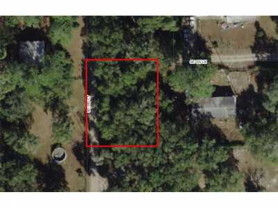 Residential Land For Sale in Ocklawaha, Florida