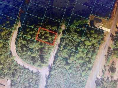 Residential Land For Sale in Ocklawaha, Florida