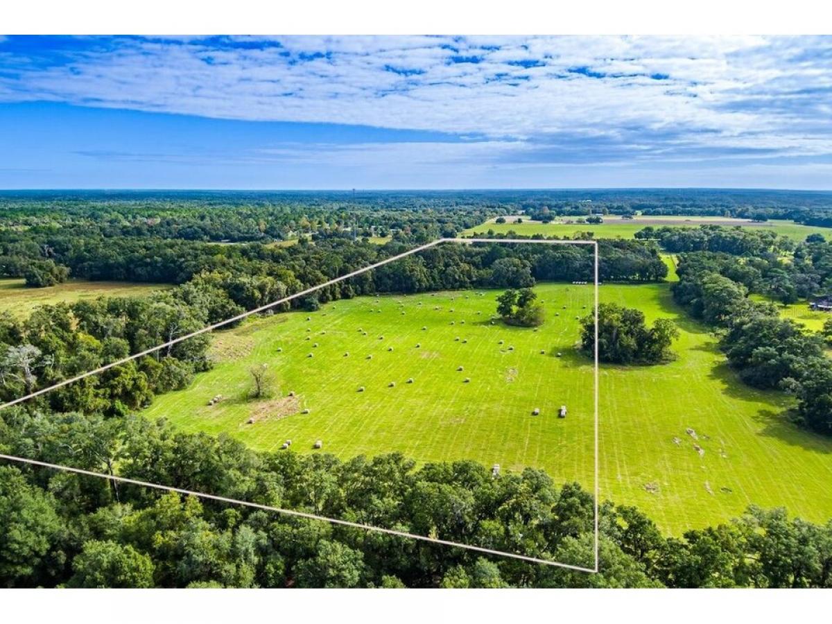 Picture of Home For Sale in Williston, Florida, United States