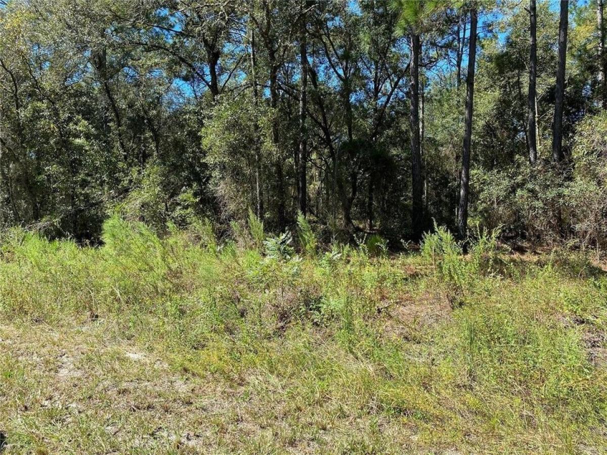 Picture of Residential Land For Sale in Dunnellon, Florida, United States