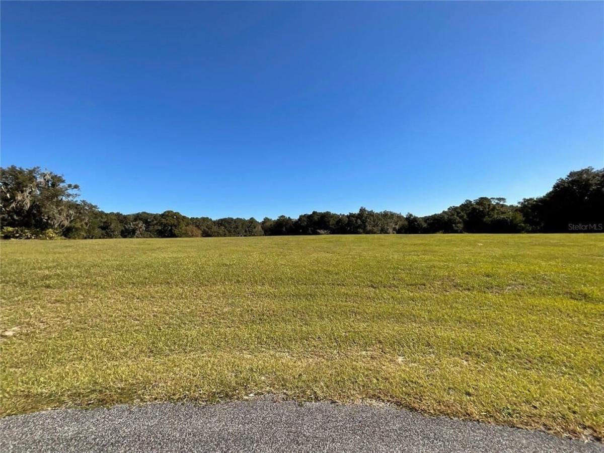 Picture of Residential Land For Sale in Ocala, Florida, United States