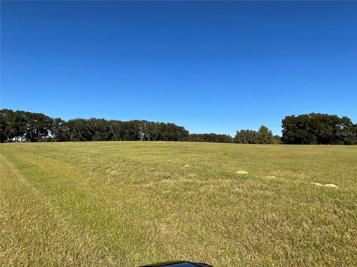 Picture of Residential Land For Sale in Ocala, Florida, United States