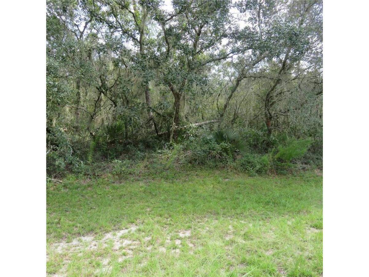 Picture of Residential Land For Sale in Ocala, Florida, United States