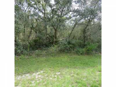 Residential Land For Sale in Ocala, Florida