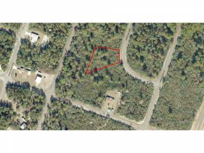 Residential Land For Sale in Ocklawaha, Florida