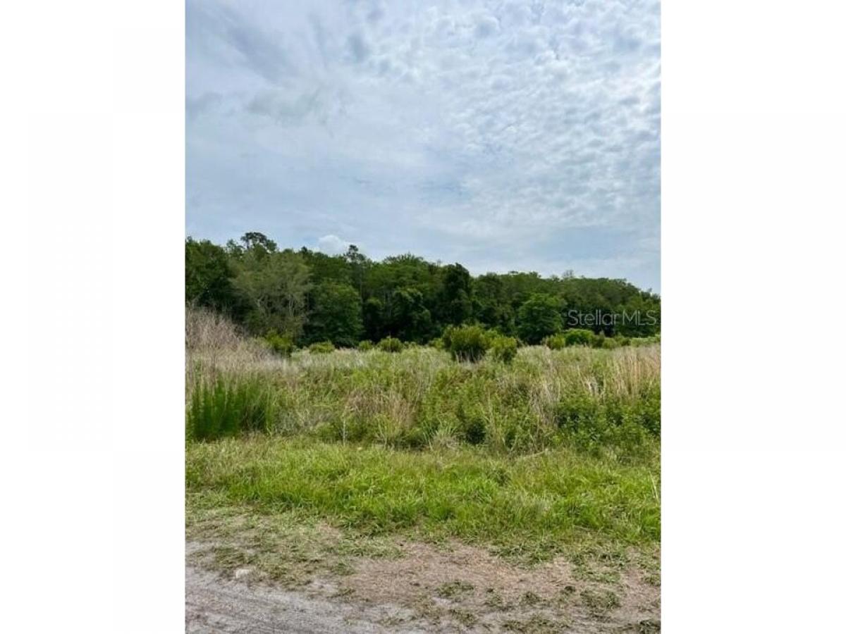 Picture of Residential Land For Sale in Hawthorne, Florida, United States