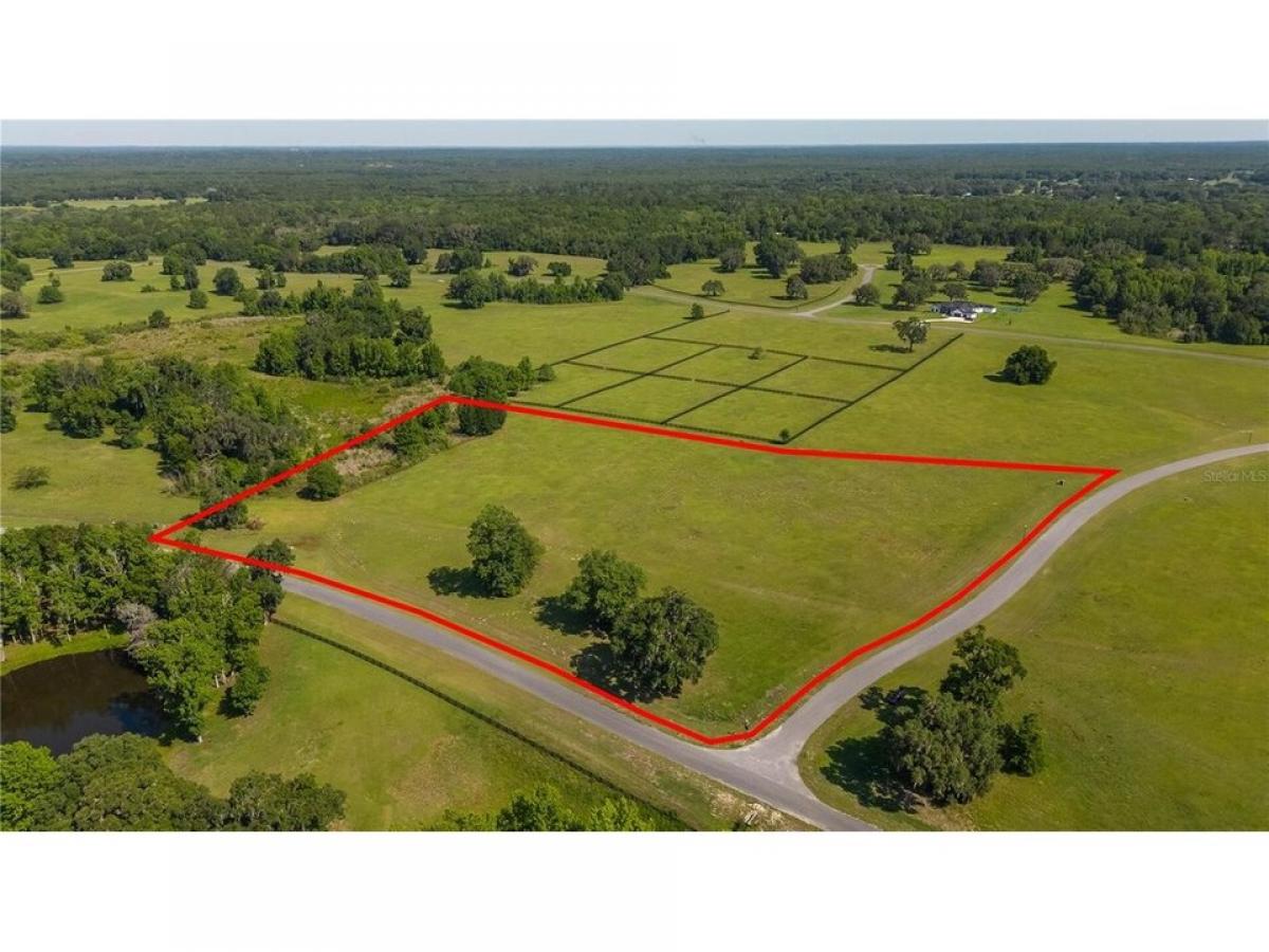 Picture of Residential Land For Sale in Ocala, Florida, United States