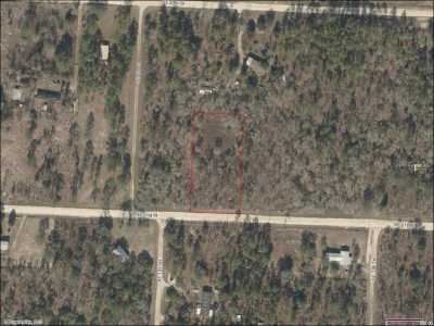 Residential Land For Sale in Morriston, Florida