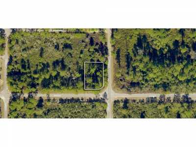 Residential Land For Sale in Ocklawaha, Florida