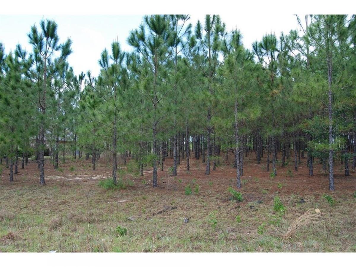 Picture of Residential Land For Sale in Ocala, Florida, United States